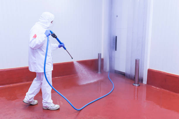 Best Patio and Deck Pressure Washing  in Kaufman, TX