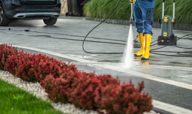 Best Driveway Pressure Washing  in Kaufman, TX